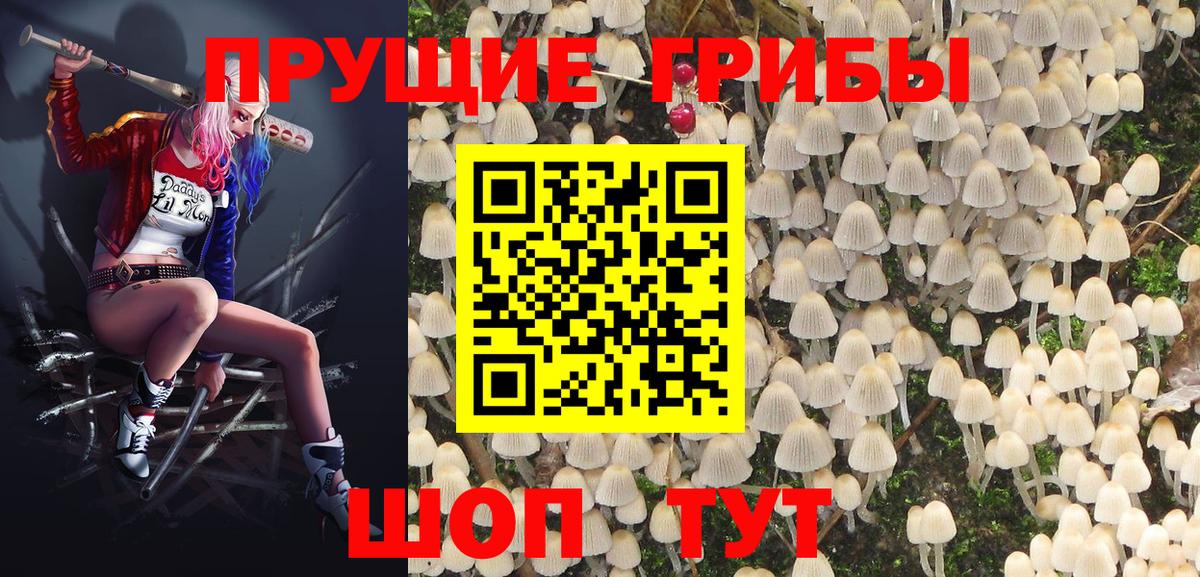 Псилоцибиновые грибы Psilocybe Екатеринбург