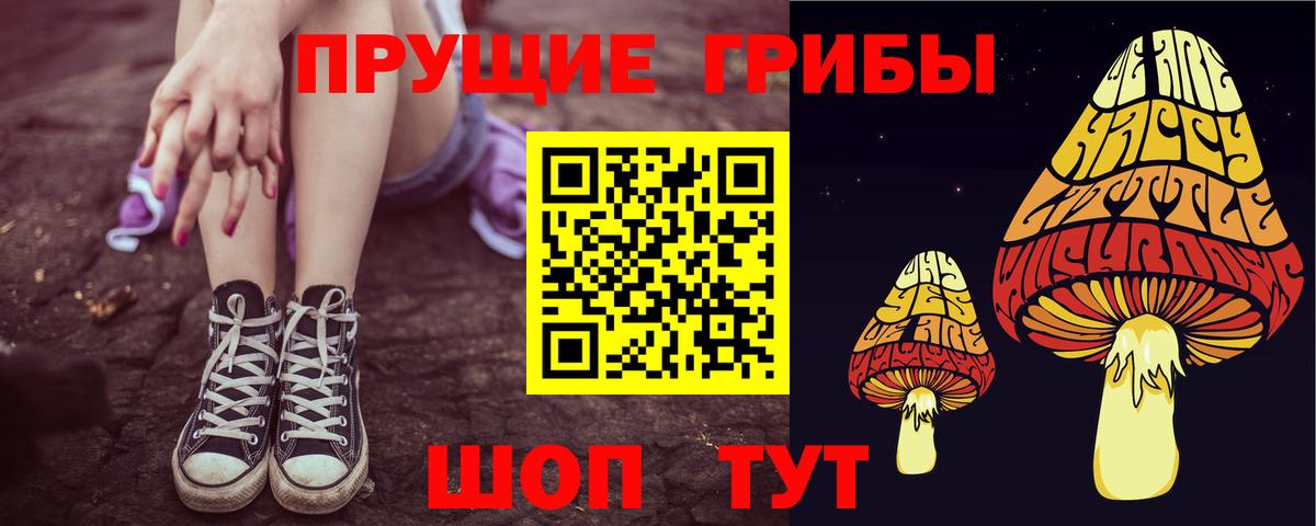 Псилоцибиновые грибы Cubensis  Вход с VPN  Екатеринбург 